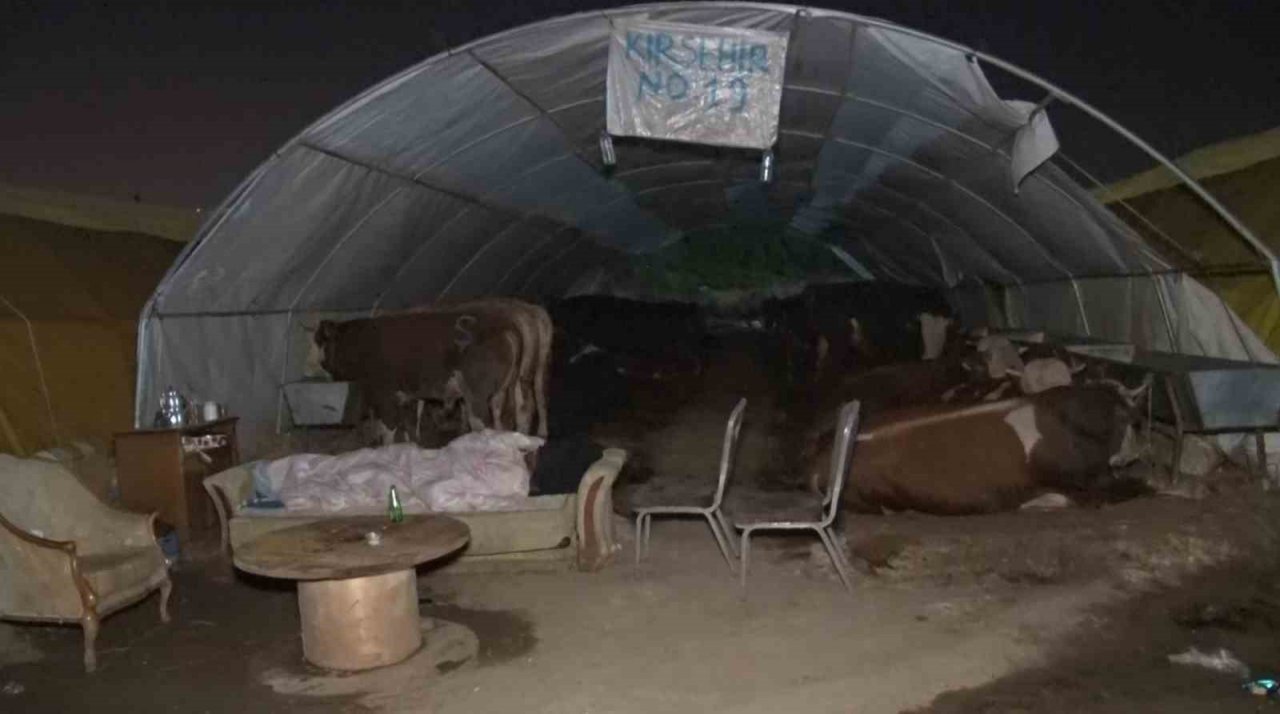 Ankara’da kurban pazarlarında gece zor geçiyor