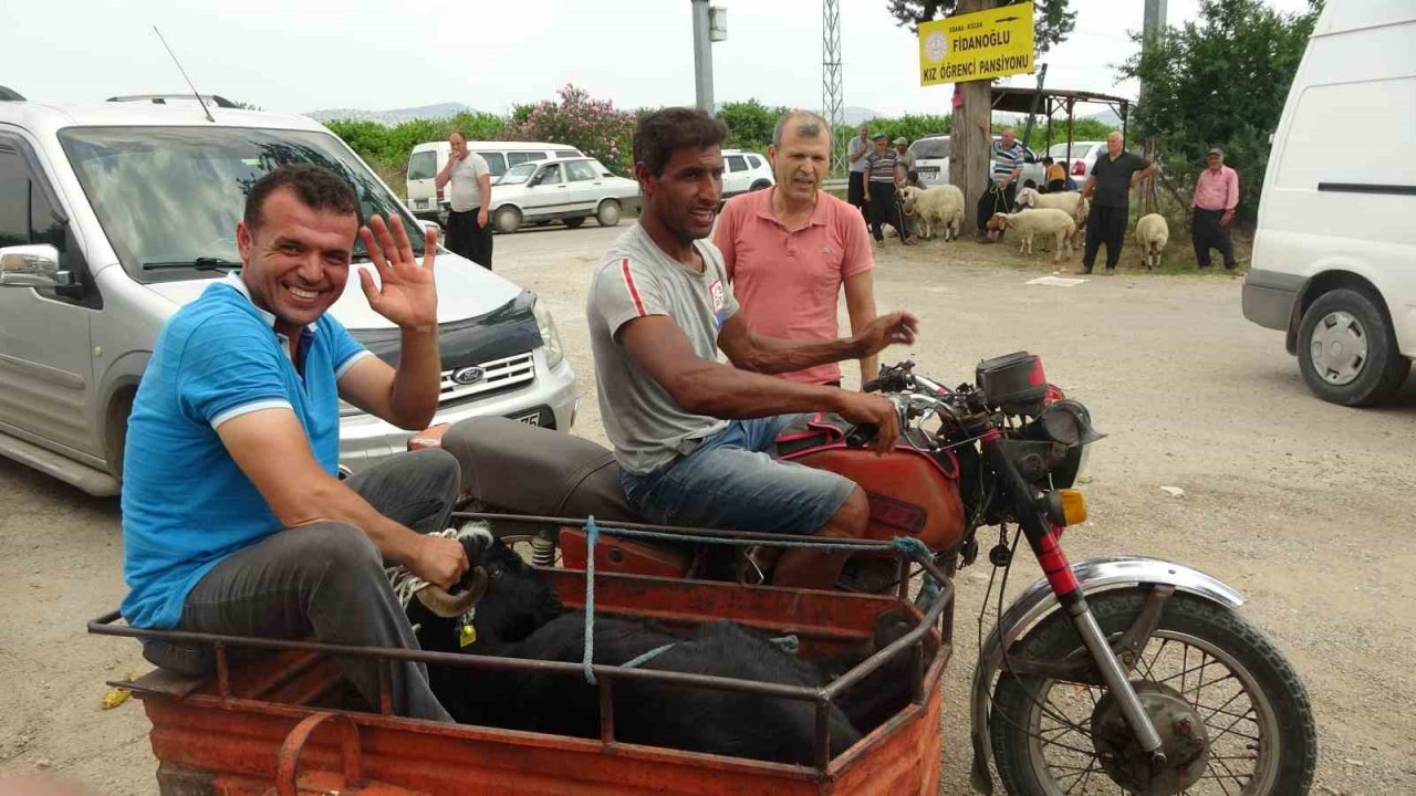 Kurbanlıklar Adana usulü taşındı