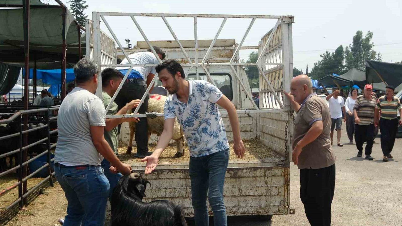 Kurbanlıklar Adana usulü taşındı