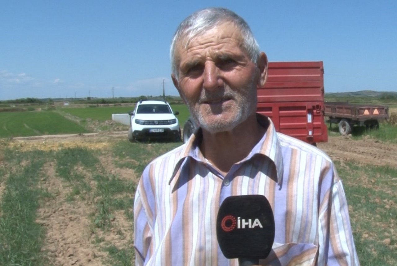 Edirne’de buğday hasadı başladı, ilk hasat yapıldı