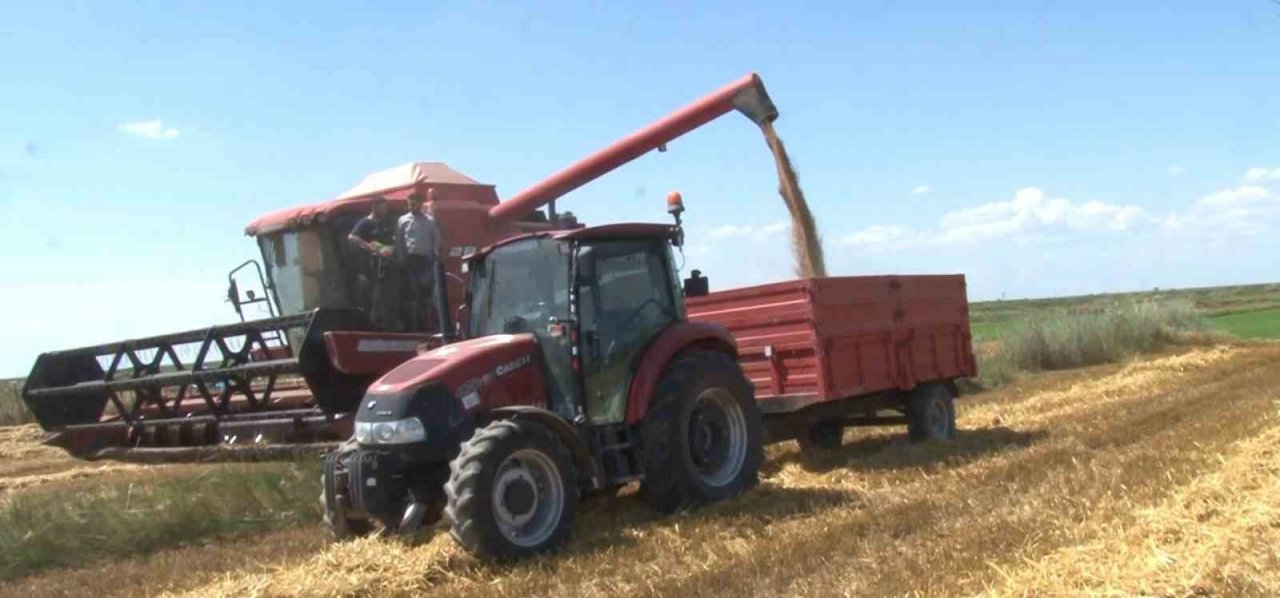 Edirne’de buğday hasadı başladı, ilk hasat yapıldı