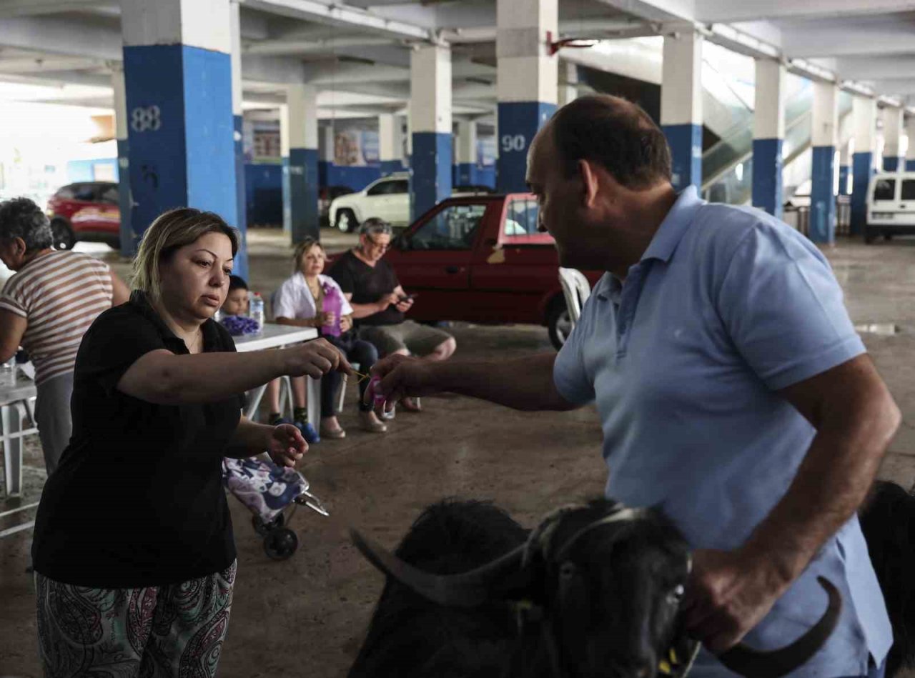 Büyükşehir 3 farklı noktada ücretsiz kurban kesim hizmeti verdi