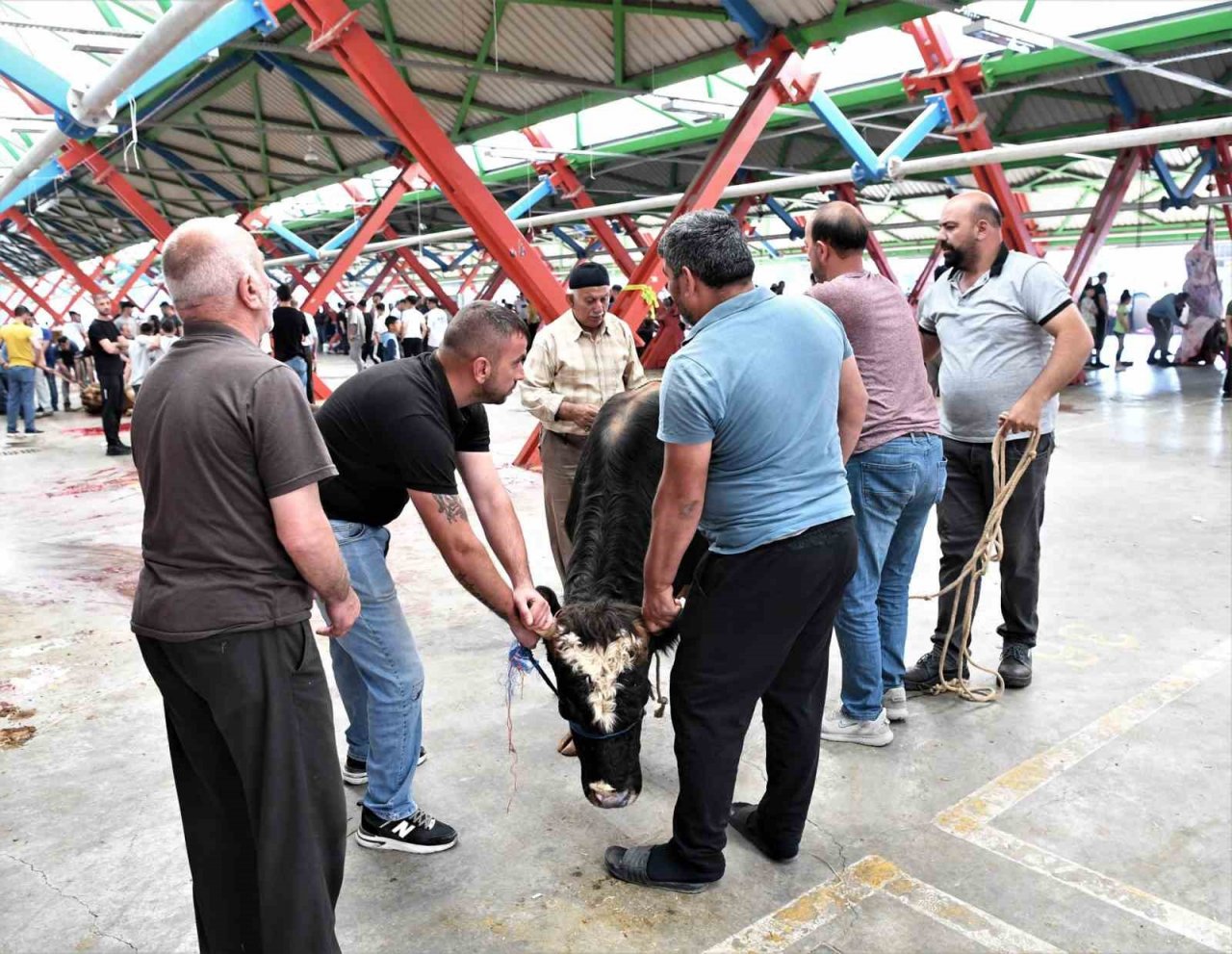 Osmangazi’de hijyenik kurban kesimi