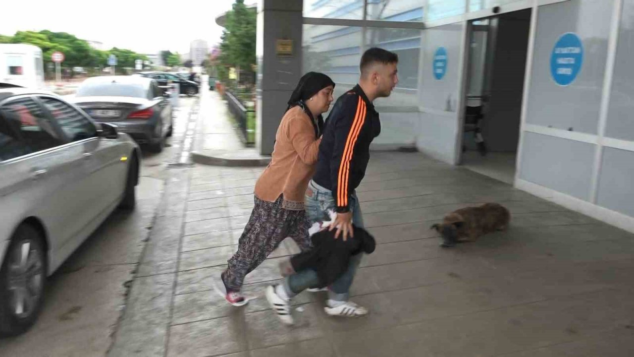 Acemi kasaplar hastanelik oldu