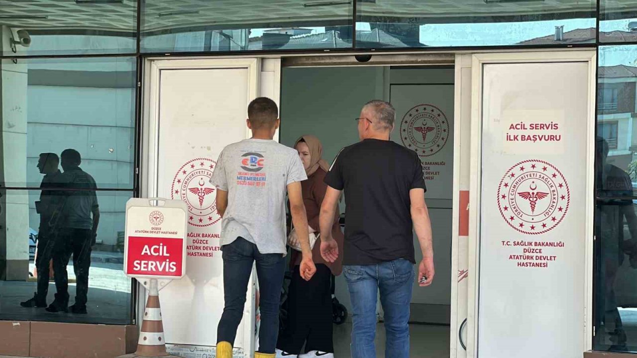 Kaçan koçu yakalamaya çalışınca yaralandı