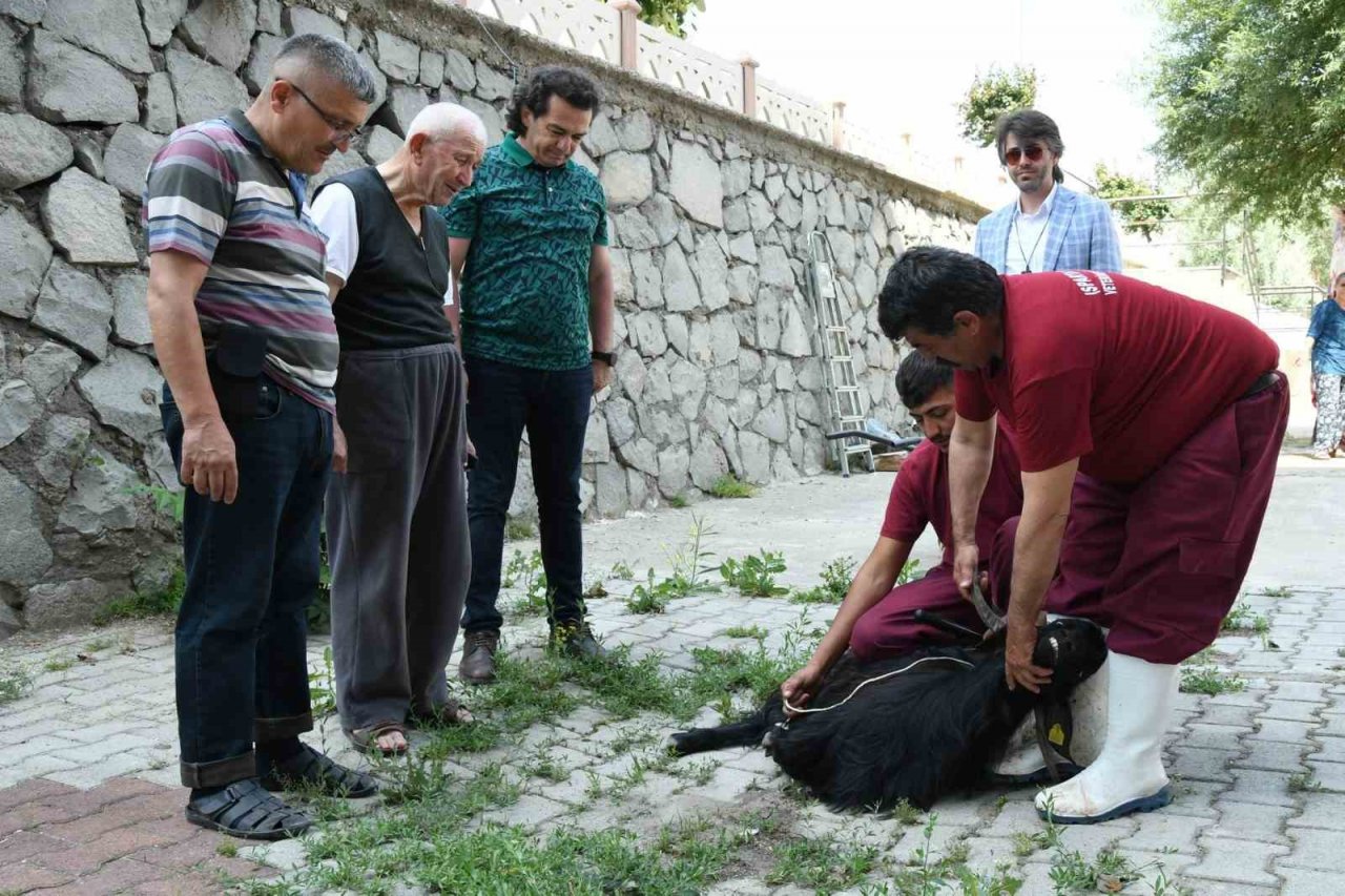 174 vatandaşın evlerine gidilerek, kurban kesim hizmeti verildi