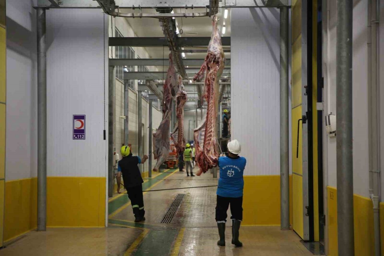 Modern kesimhanede dini hükümlere uygun kesim