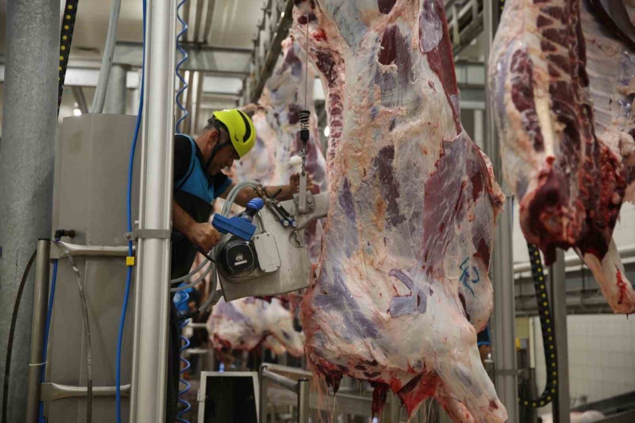 Modern kesimhanede dini hükümlere uygun kesim