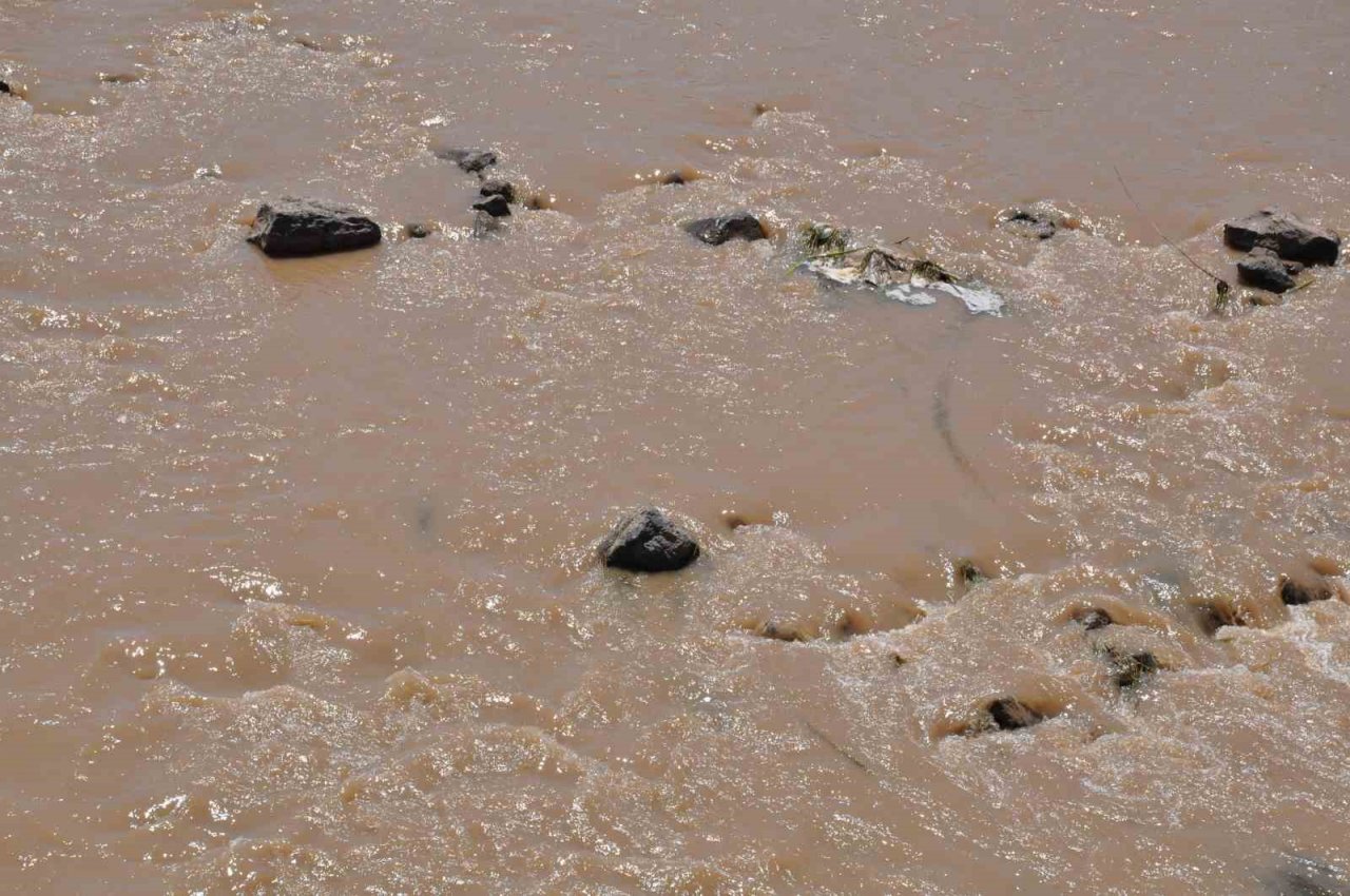 Kars Çayı’nın rengi değişti