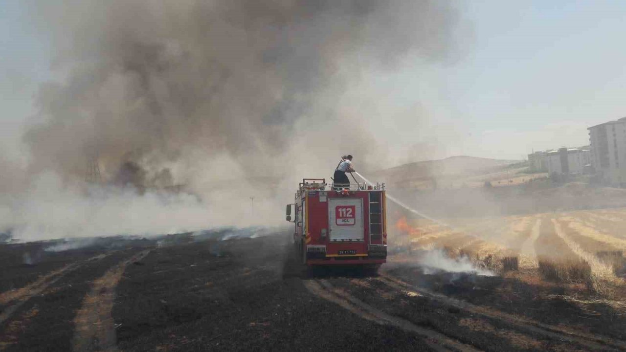 Siirt’te 130 dekar tarım arazisi küle döndü