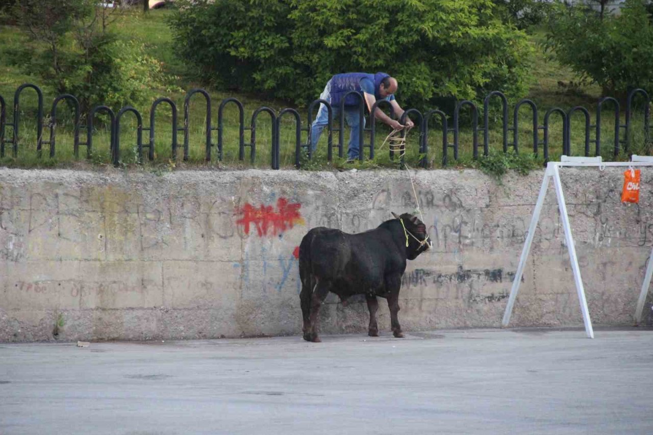 Kurban kesim alanları oyun parkına döndü