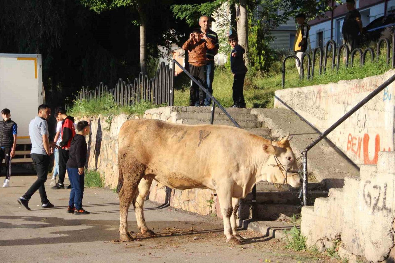 Kurban kesim alanları oyun parkına döndü