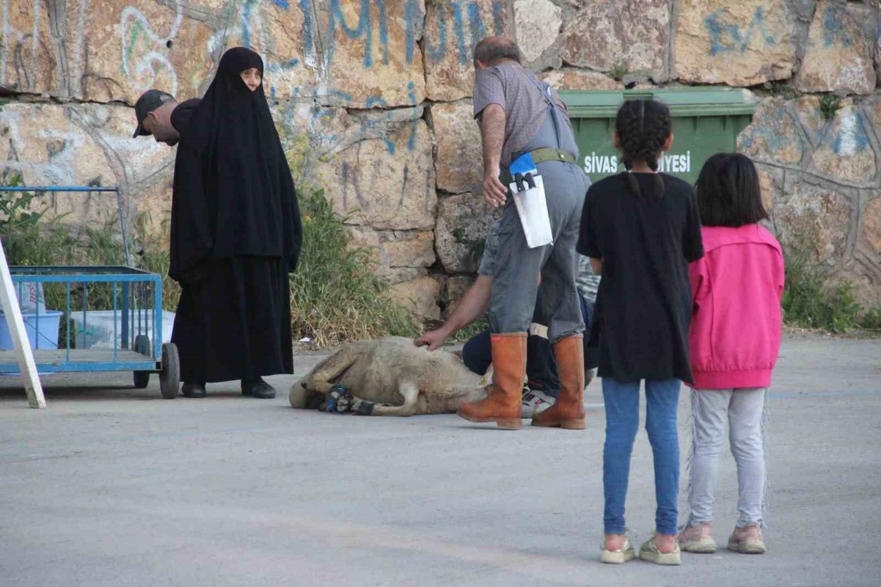 Kurban kesim alanları oyun parkına döndü