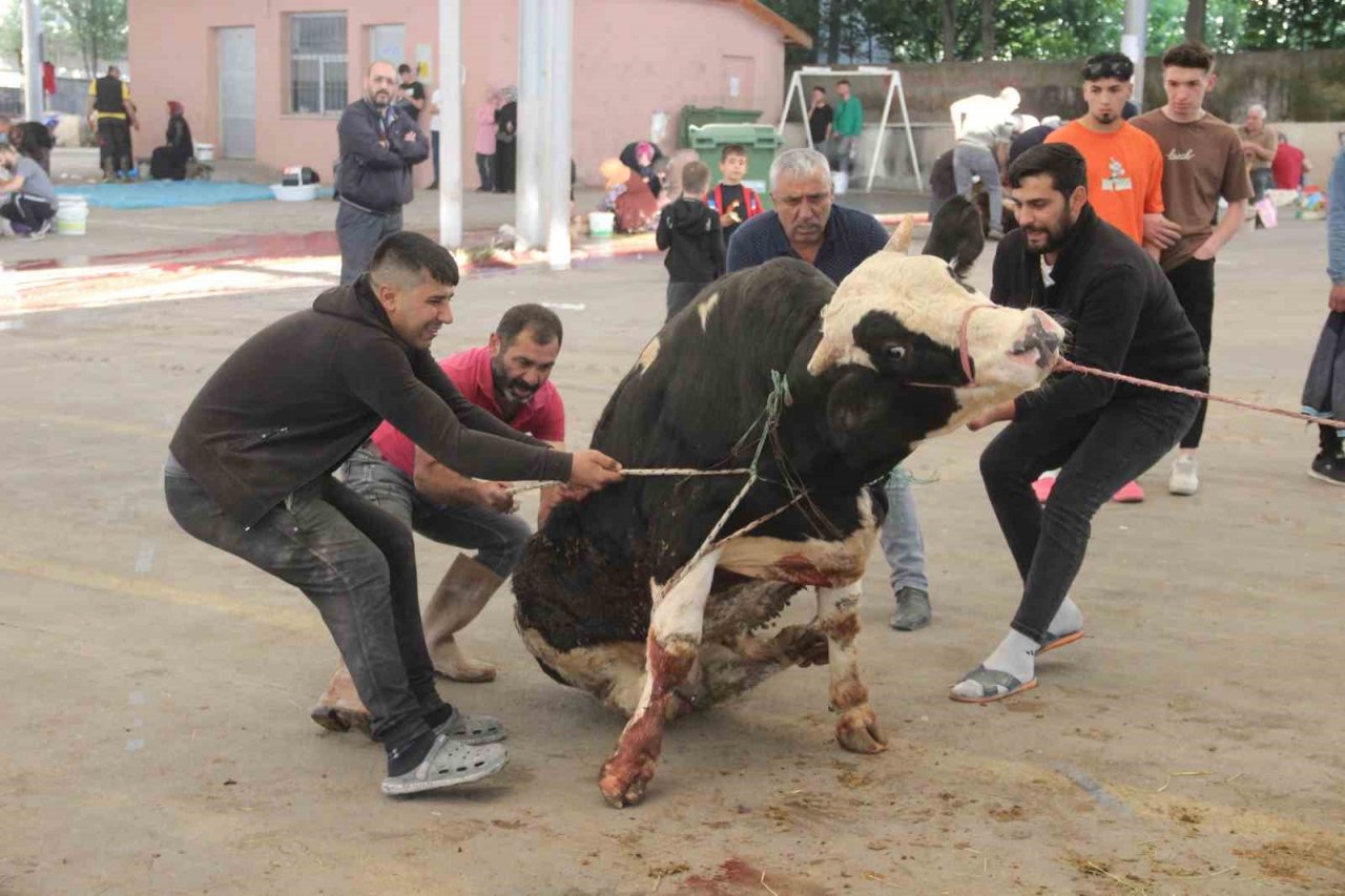 Kurban kesim alanları oyun parkına döndü