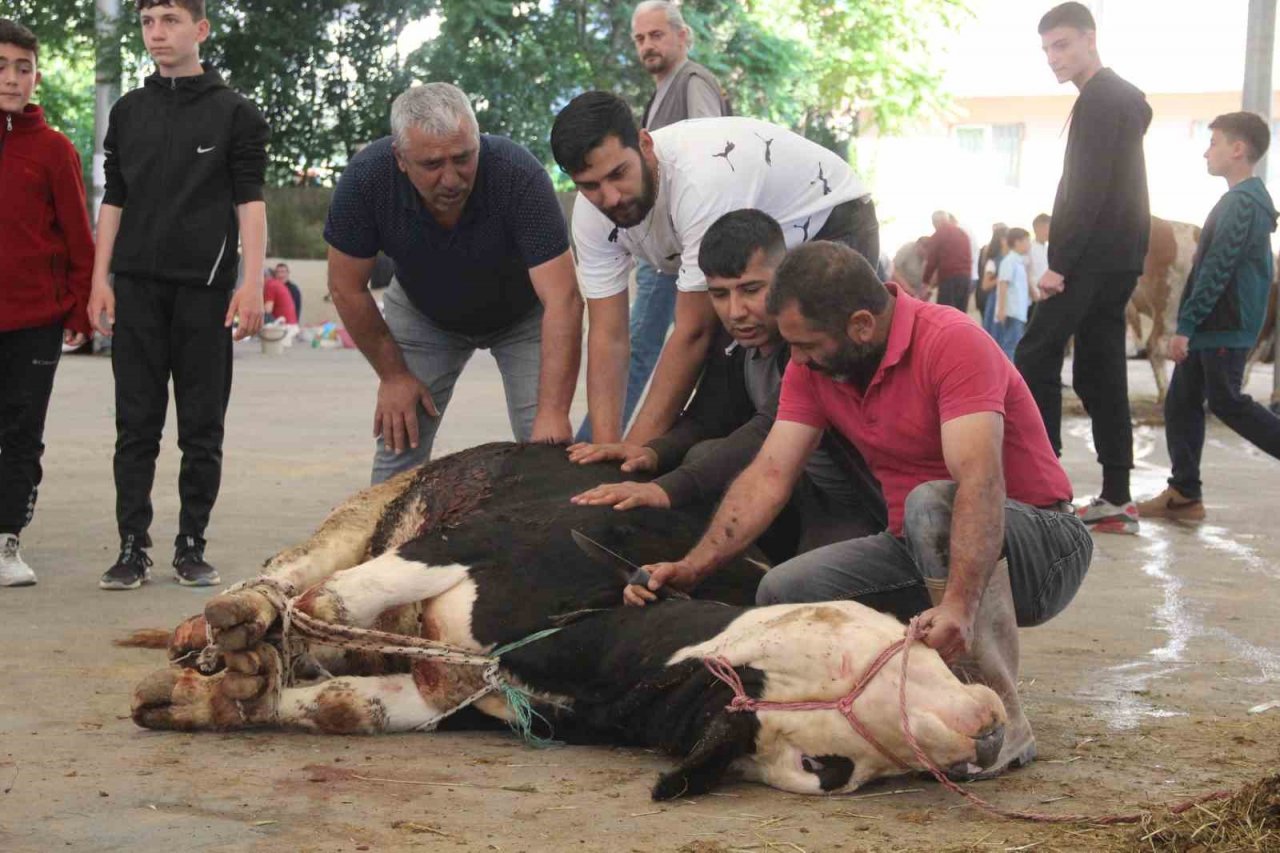 Kurban kesim alanları oyun parkına döndü