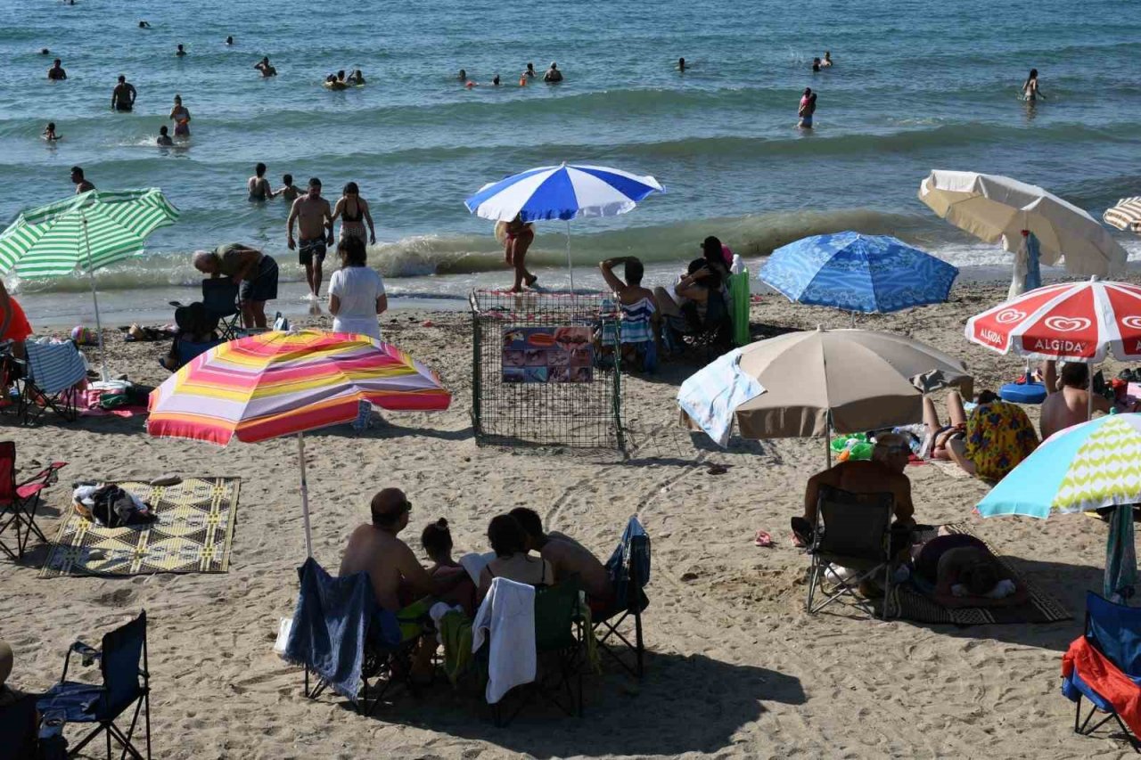 Kuşadası’nda caretta caretta yuvasına çitli koruma