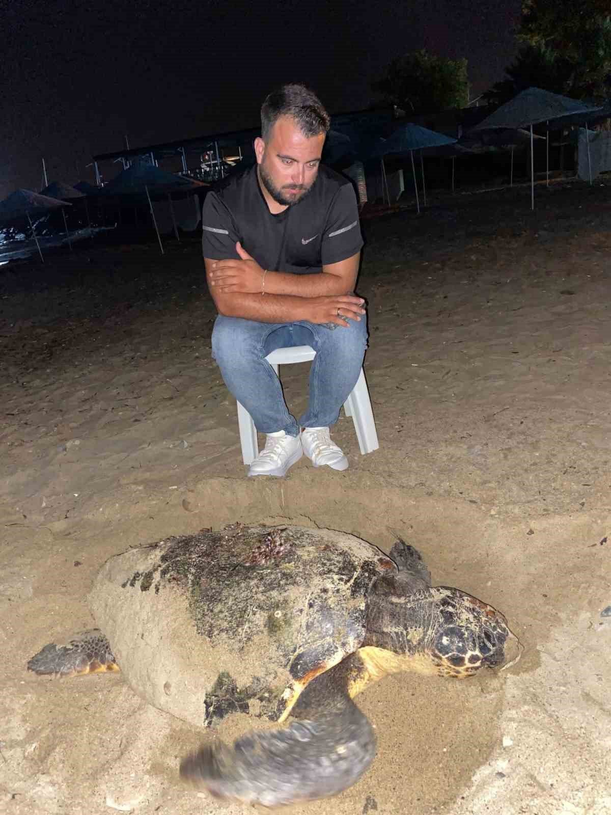 Kuşadası’nda caretta caretta yuvasına çitli koruma