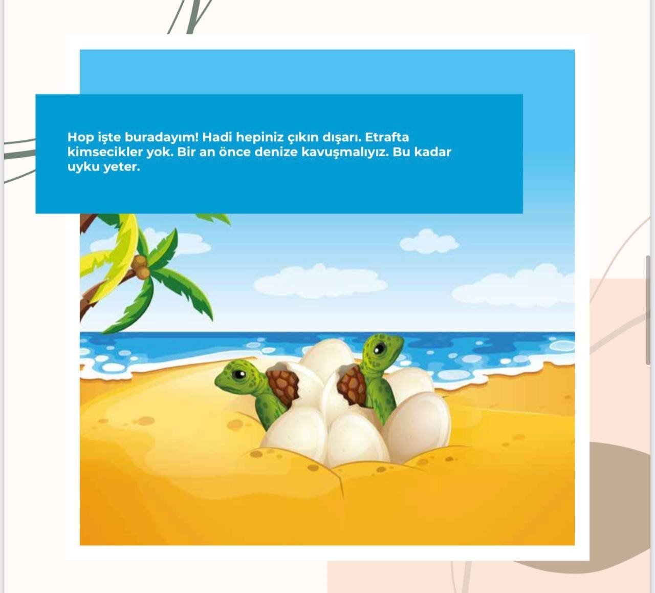 Marmarisli öğrenciler caretta kaplumbağaları için dijital kitap yazdılar