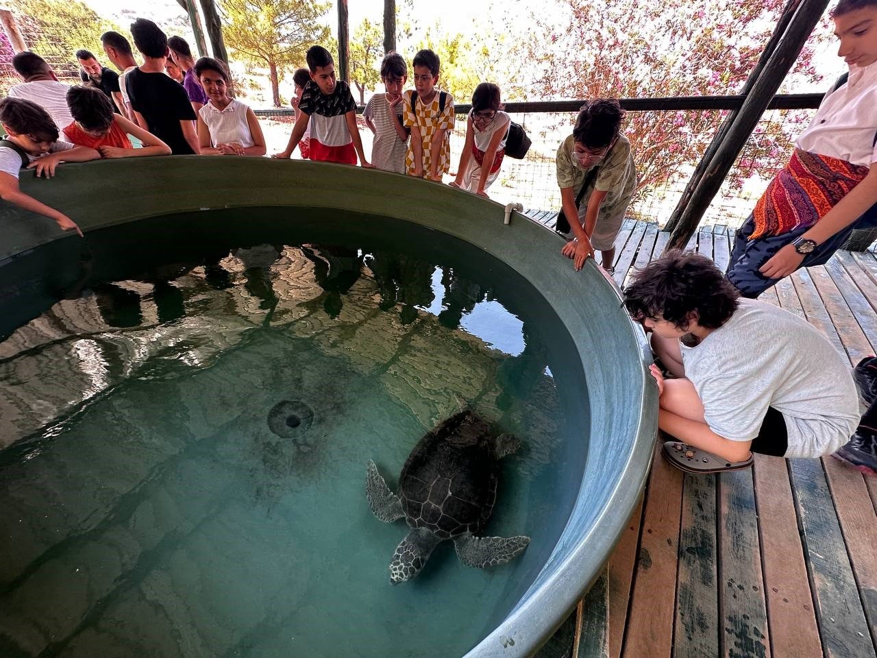 Marmarisli öğrenciler caretta kaplumbağaları için dijital kitap yazdılar