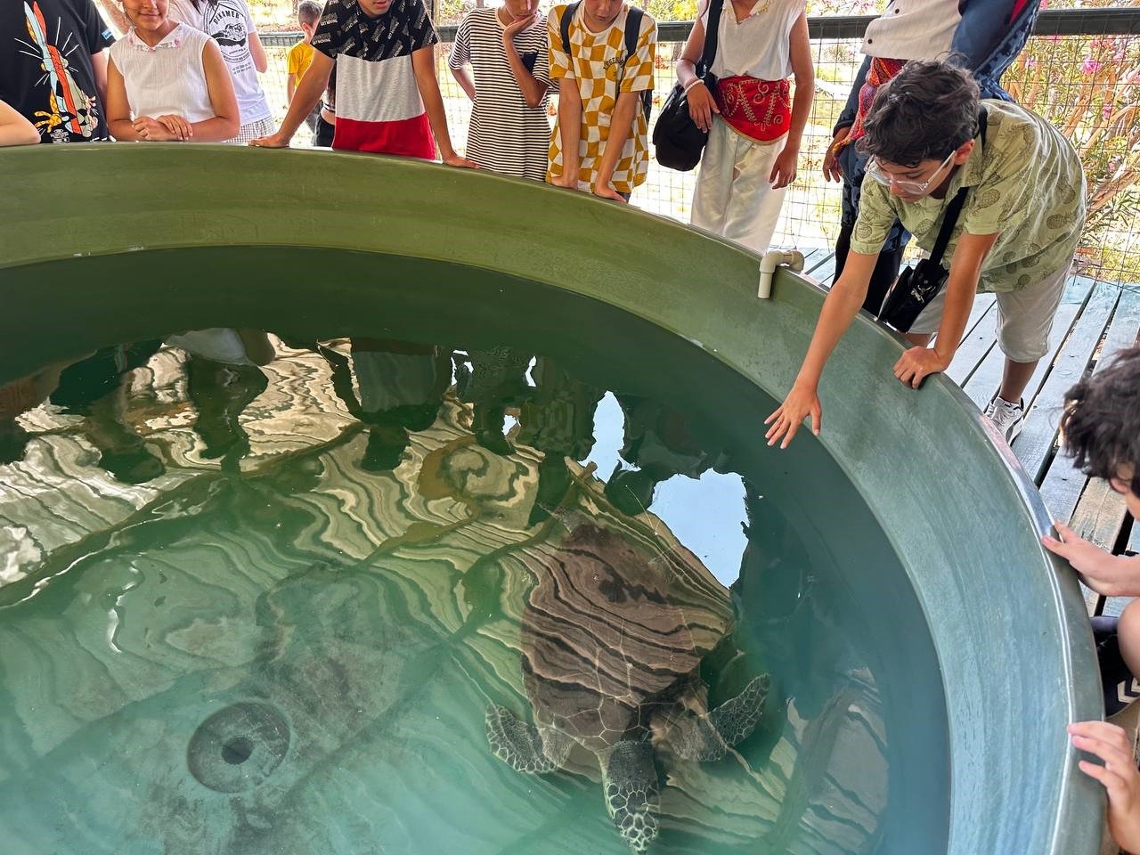 Marmarisli öğrenciler caretta kaplumbağaları için dijital kitap yazdılar