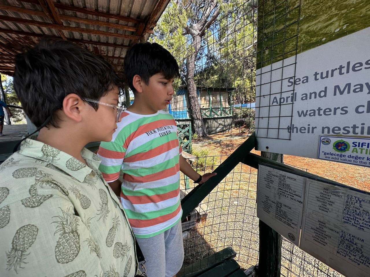 Marmarisli öğrenciler caretta kaplumbağaları için dijital kitap yazdılar
