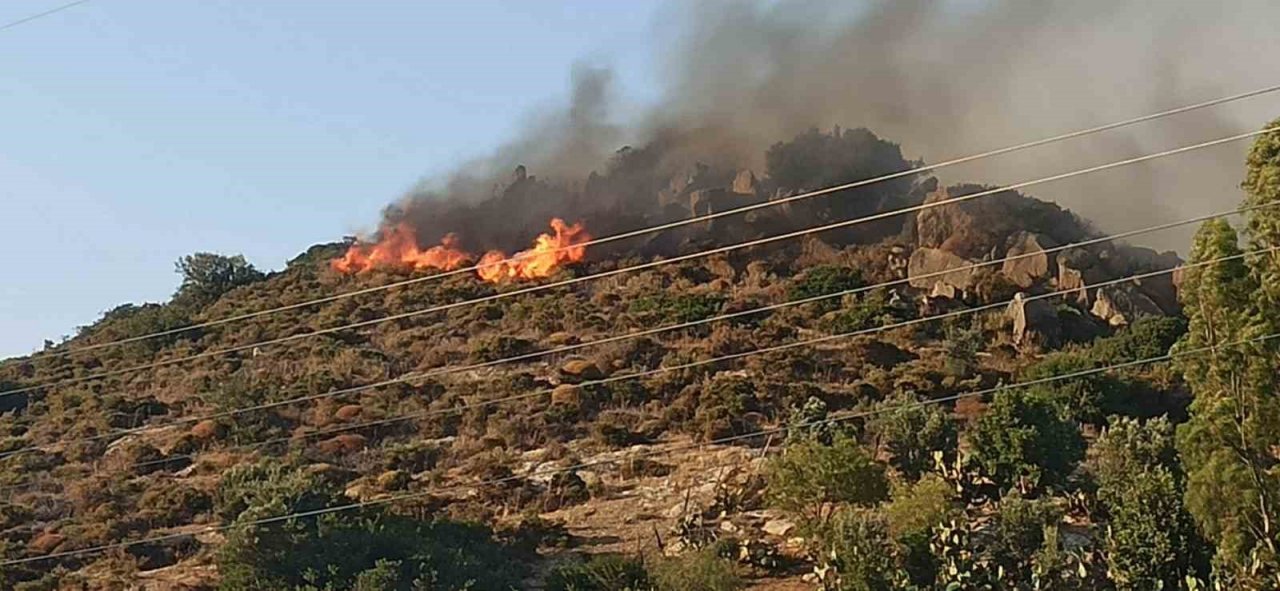 Datça’da orman yangını