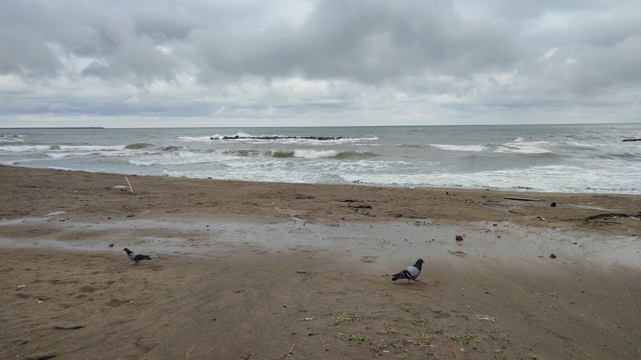 Sakarya sahillerinde denize giriş yasaklandı