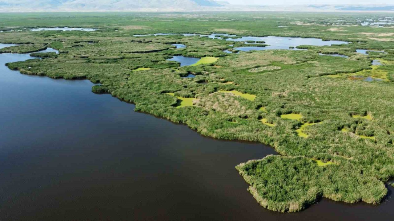 Ortaya çıkan adacıklar eşsiz görüntüler oluşturdu
