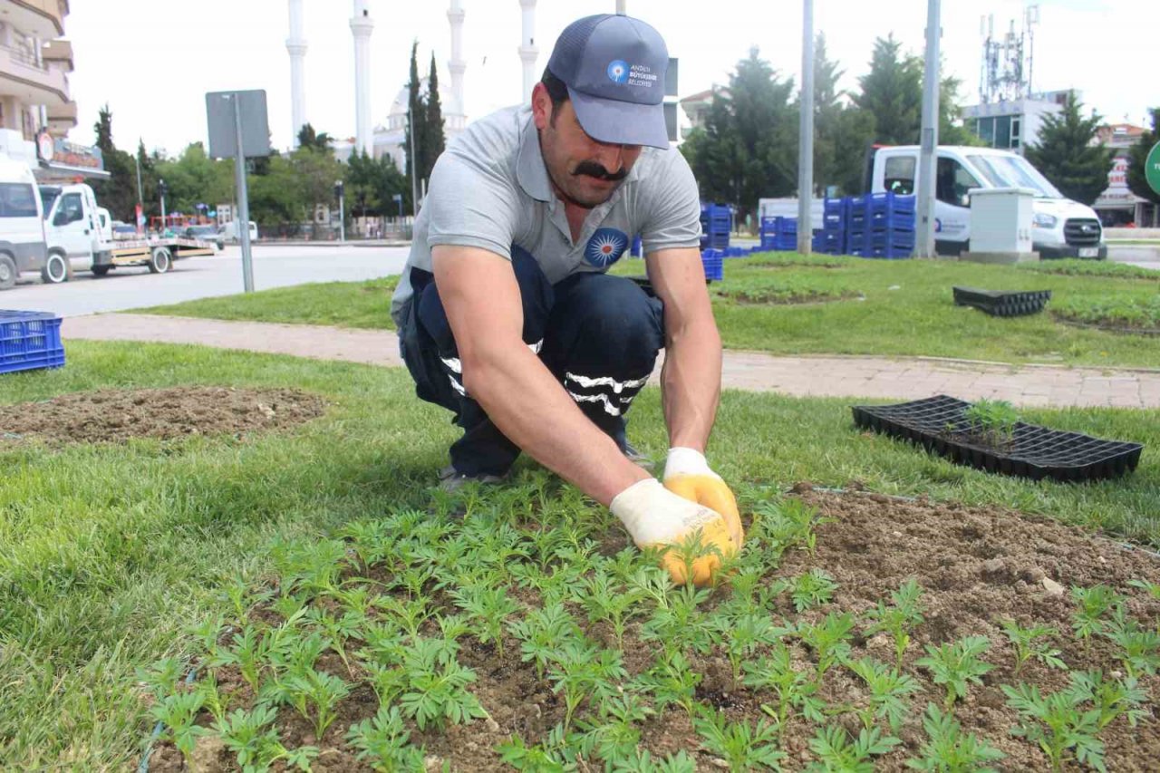 Büyükşehirden Korkuteli’de çiçek dikimi
