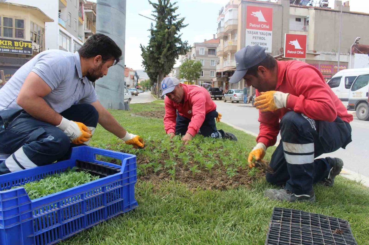 Büyükşehirden Korkuteli’de çiçek dikimi