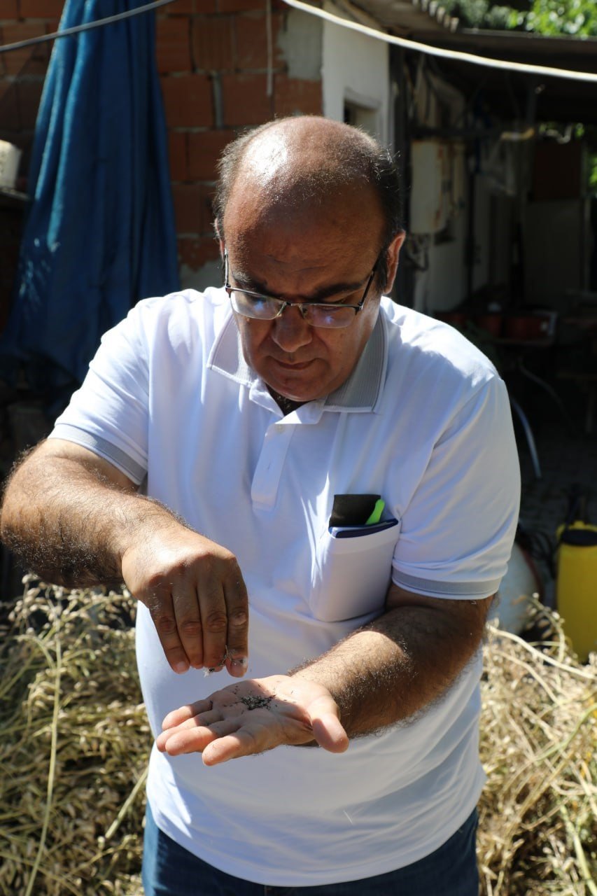 Edremit Belediyesi’nin ata tohumu projesi büyüyor