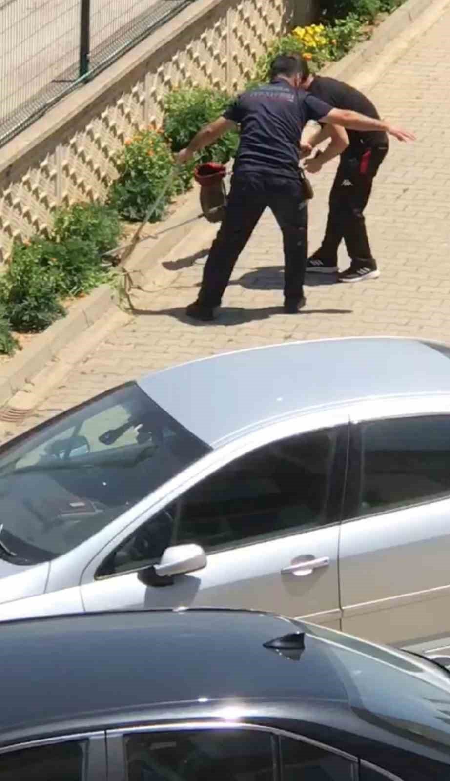 Evin bahçesine giren yılan paniğe neden oldu