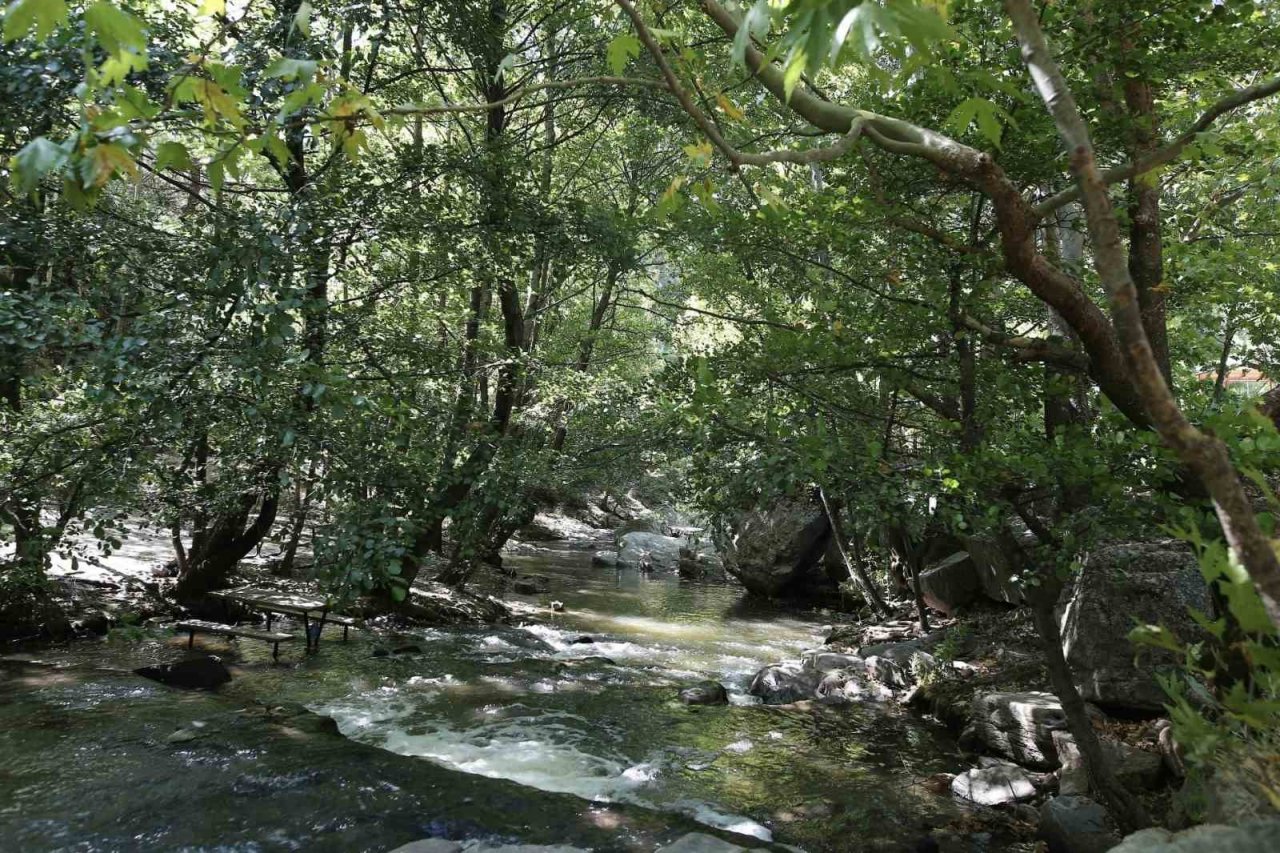 Yılda 40 bin kişi bu kanyonu görmek için yollara düşüyor