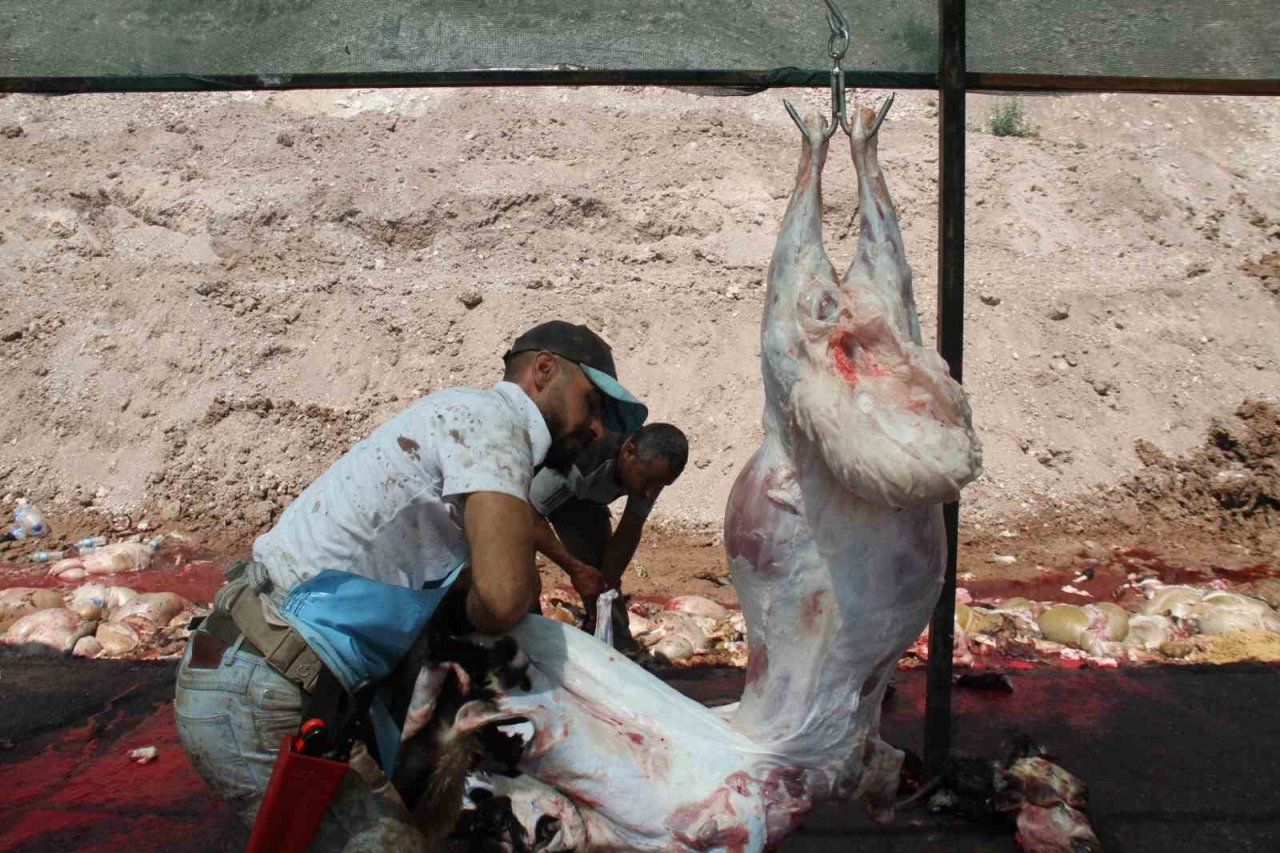 Elazığ’da bayramın üçüncü gününde kurban kesimleri devam etti