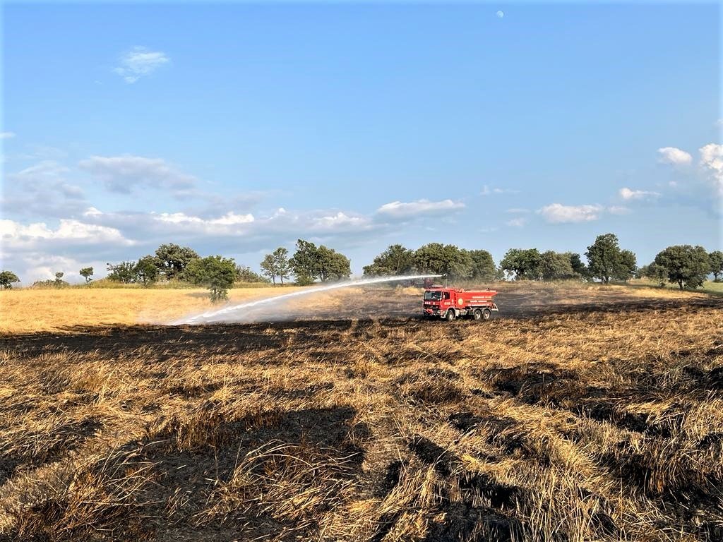 Gediz’de çıkan yangında 8 dekar buğday tarlası zarar gördü