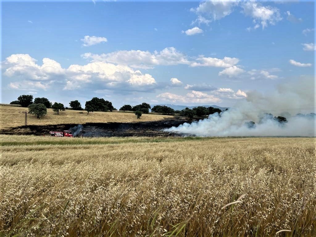Gediz’de çıkan yangında 8 dekar buğday tarlası zarar gördü