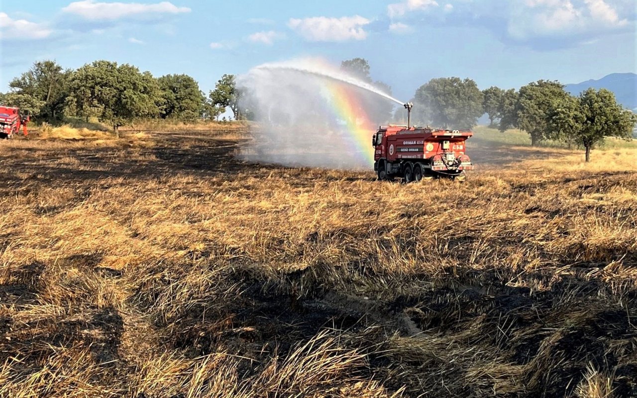 Gediz’de çıkan yangında 8 dekar buğday tarlası zarar gördü