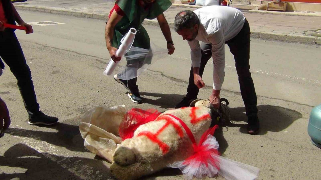 Kars’ta geline "süslü koç gönderme geleneği" sürüyor