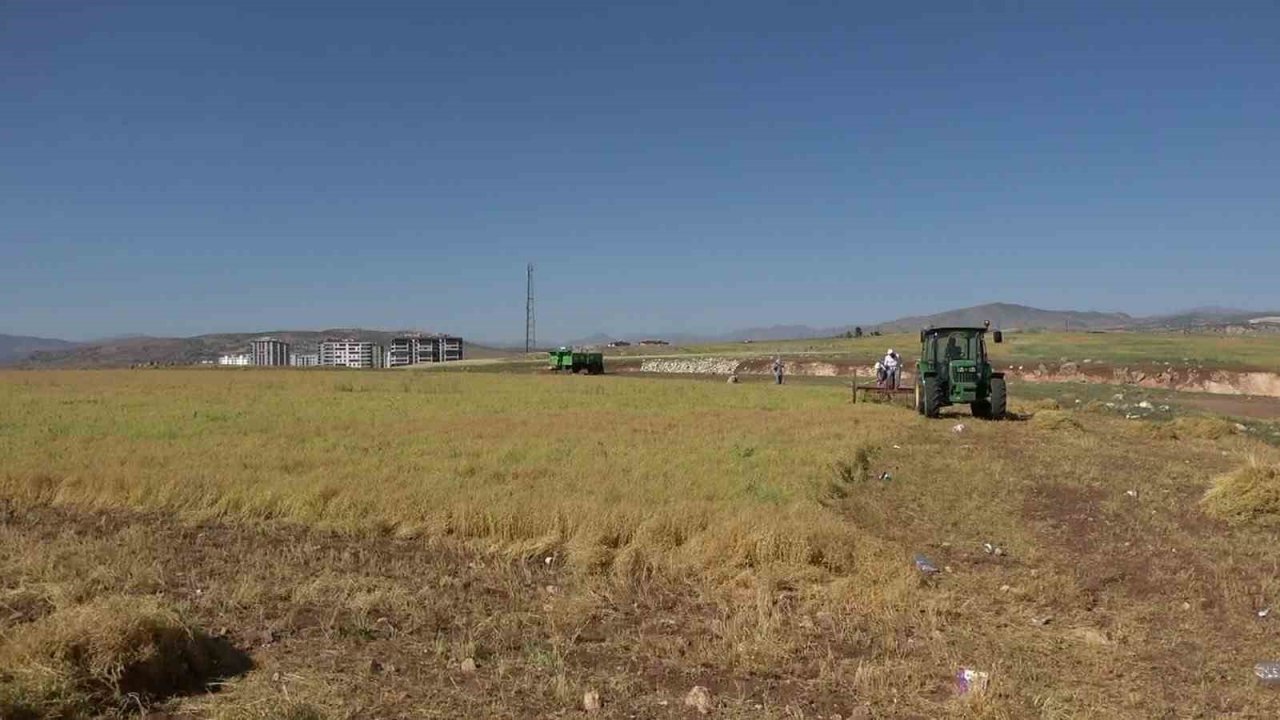 Siirt’te bayramda da hasat sürüyor