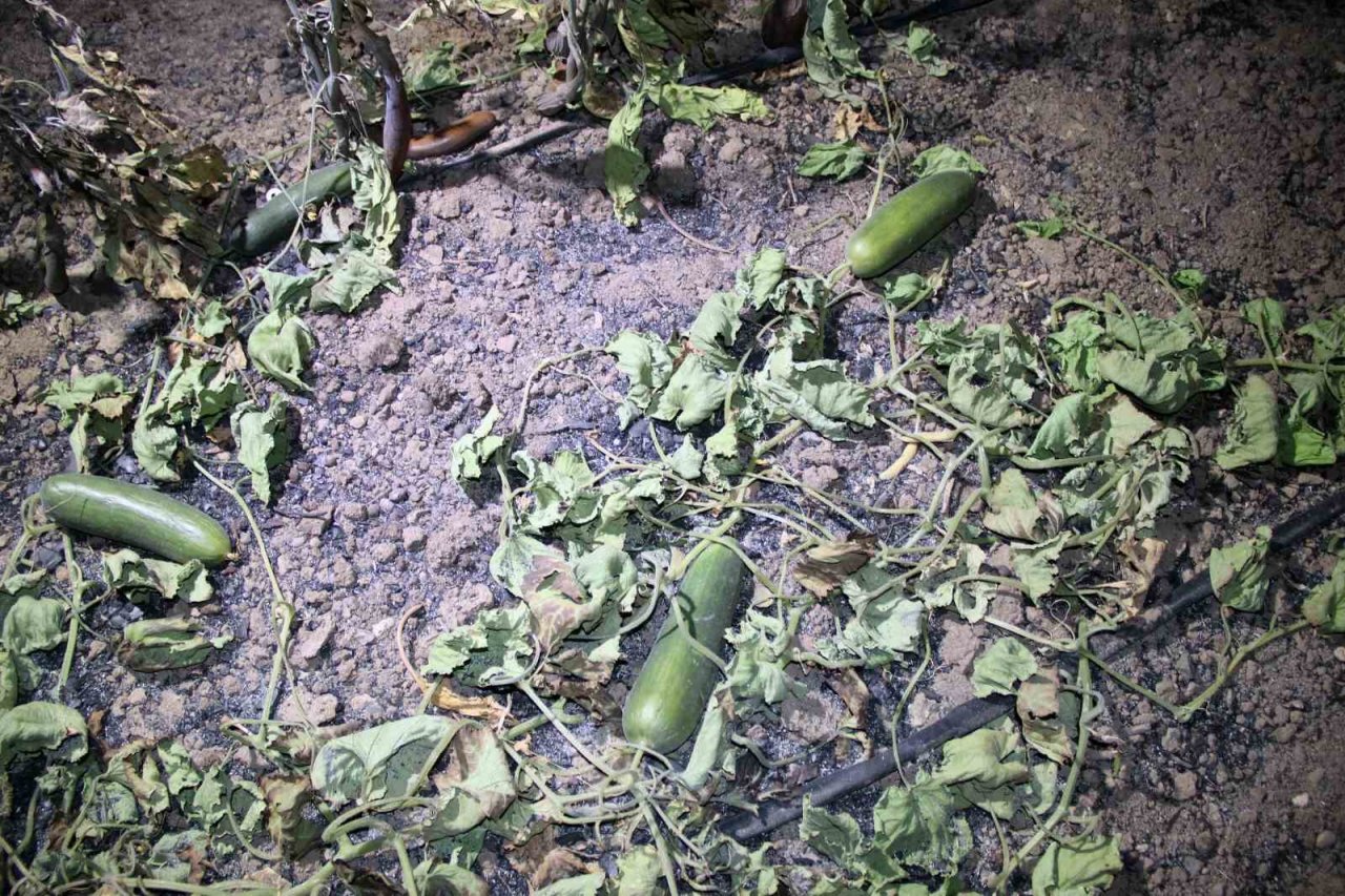 Yangın için kurduğu sistem ile milyonlarca lira zarardan kurtuldu