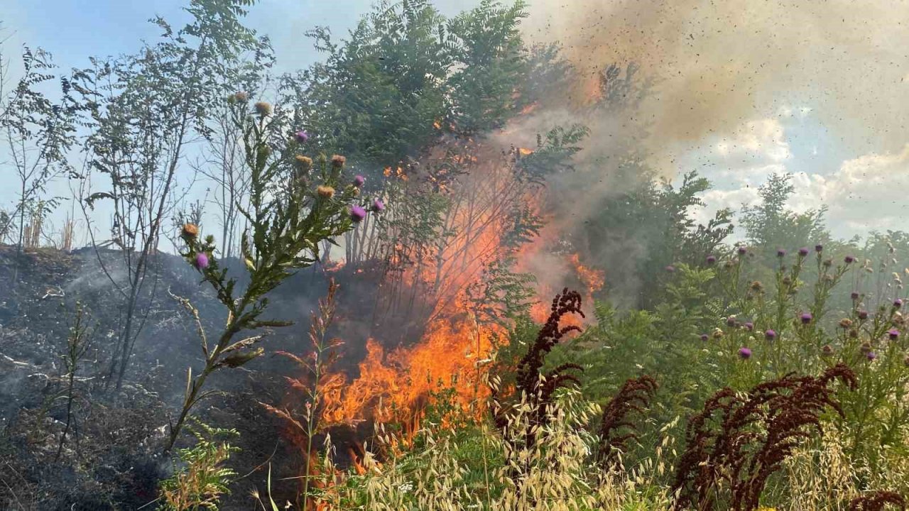 47 dönüm buğday tarlası 10 dakikada cayır cayır yandı