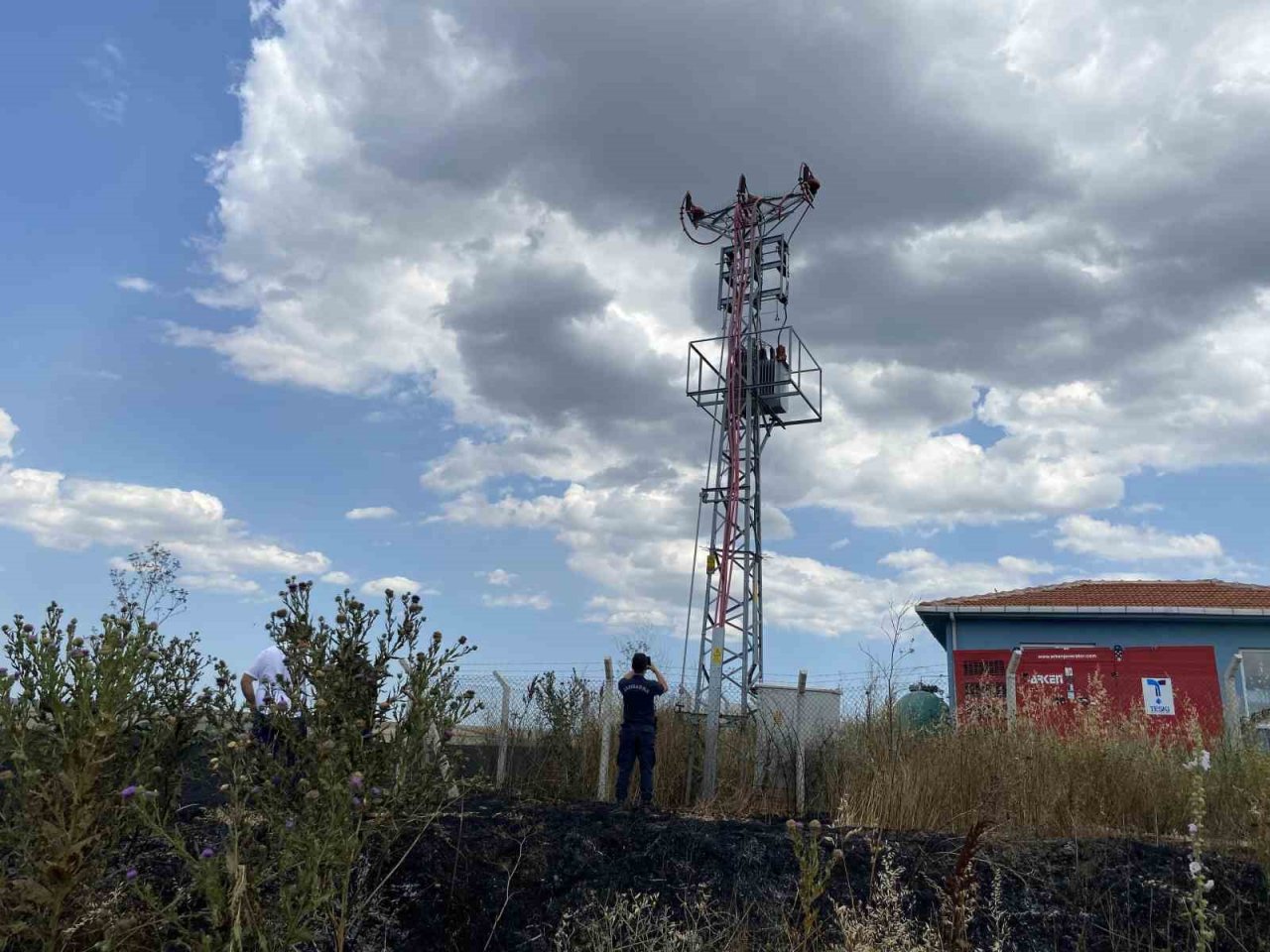 47 dönüm buğday tarlası 10 dakikada cayır cayır yandı