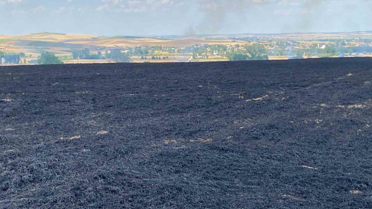 47 dönüm buğday tarlası 10 dakikada cayır cayır yandı