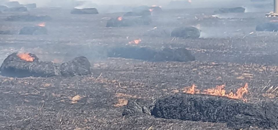 Bandırma’da tarla yangını
