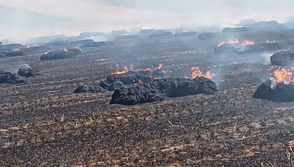 Bandırma’da tarla yangını