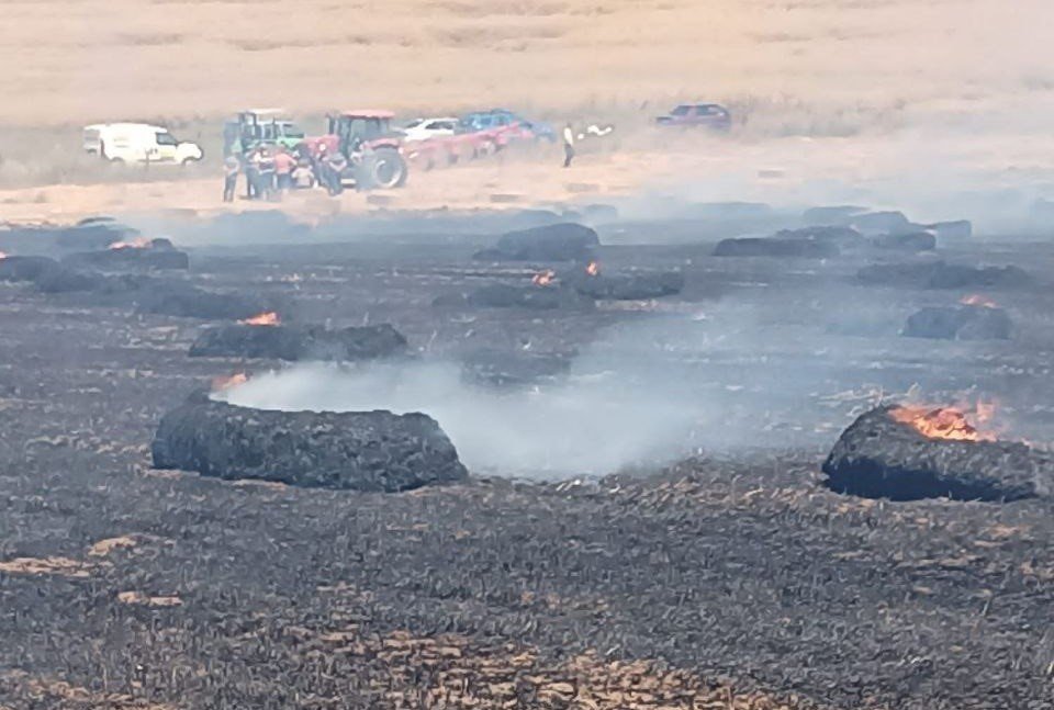 Bandırma’da tarla yangını