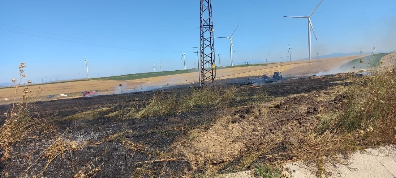 Bandırma’da tarla yangını