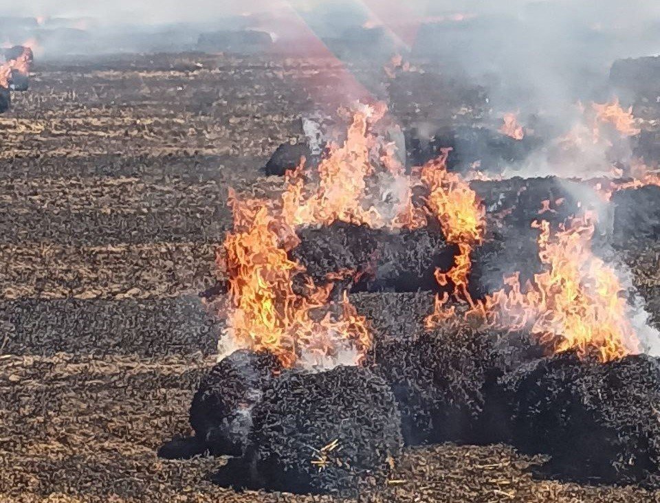 Bandırma’da tarla yangını