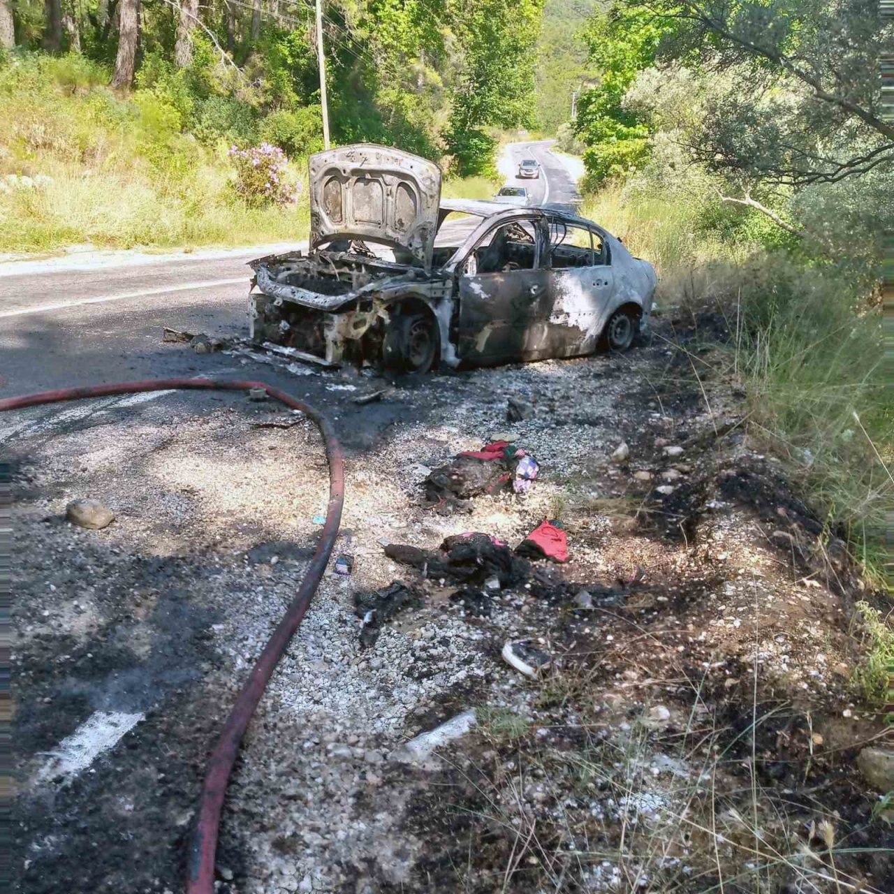 Araç cayır cayır yandı