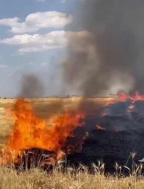 Anız yangını korkuttu